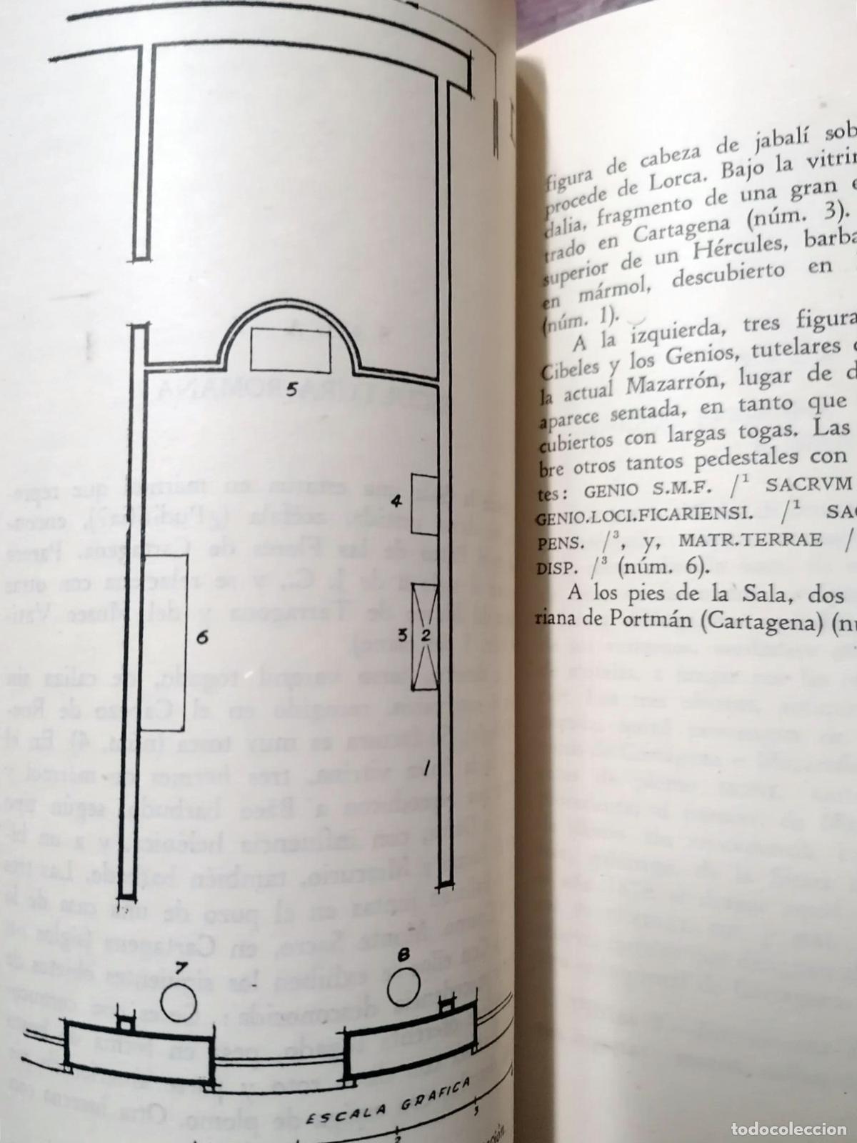 Libros: MUSEO ARQUEOL&Oacute;GICO DE MURCIA - Foto 3