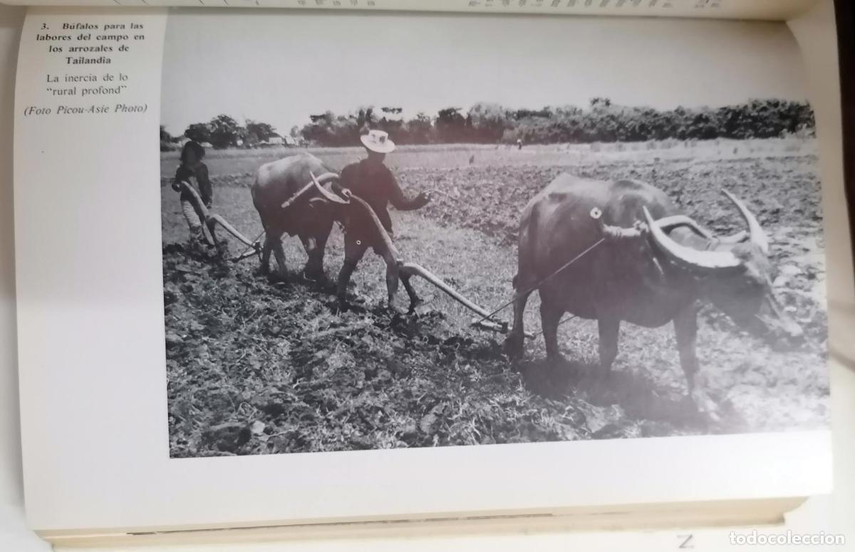 Libros: Jean Le Coz - LAS REFORMAS AGRARIAS - Foto 4