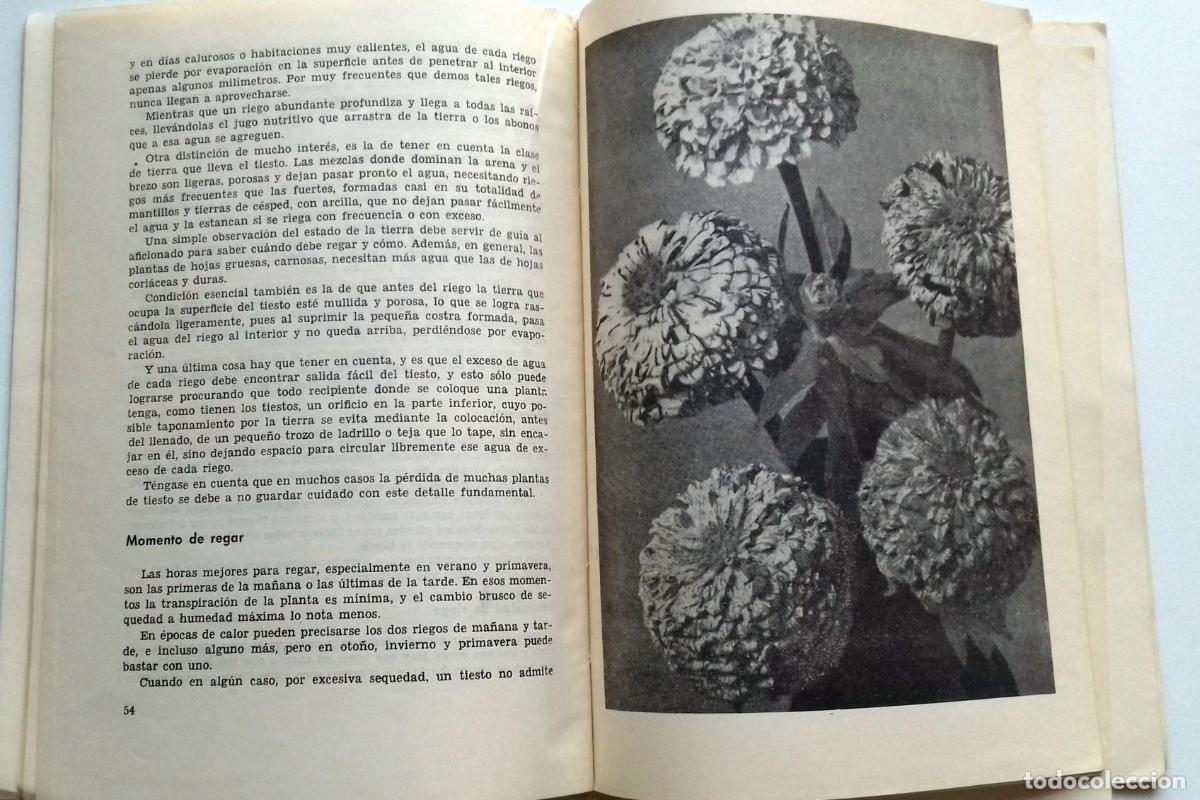 Libros: Bornas, Gabriel - FLORES - Foto 2