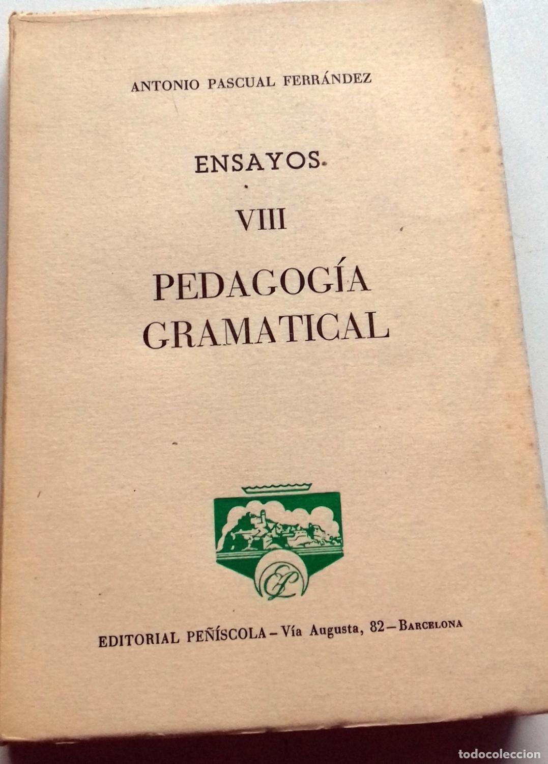 Libri di seconda mano: Pascual Ferr&aacute;ndez, Antonio - ENSAYOS VIII. PEDAGOG&Iacute;A GRAMATICAL