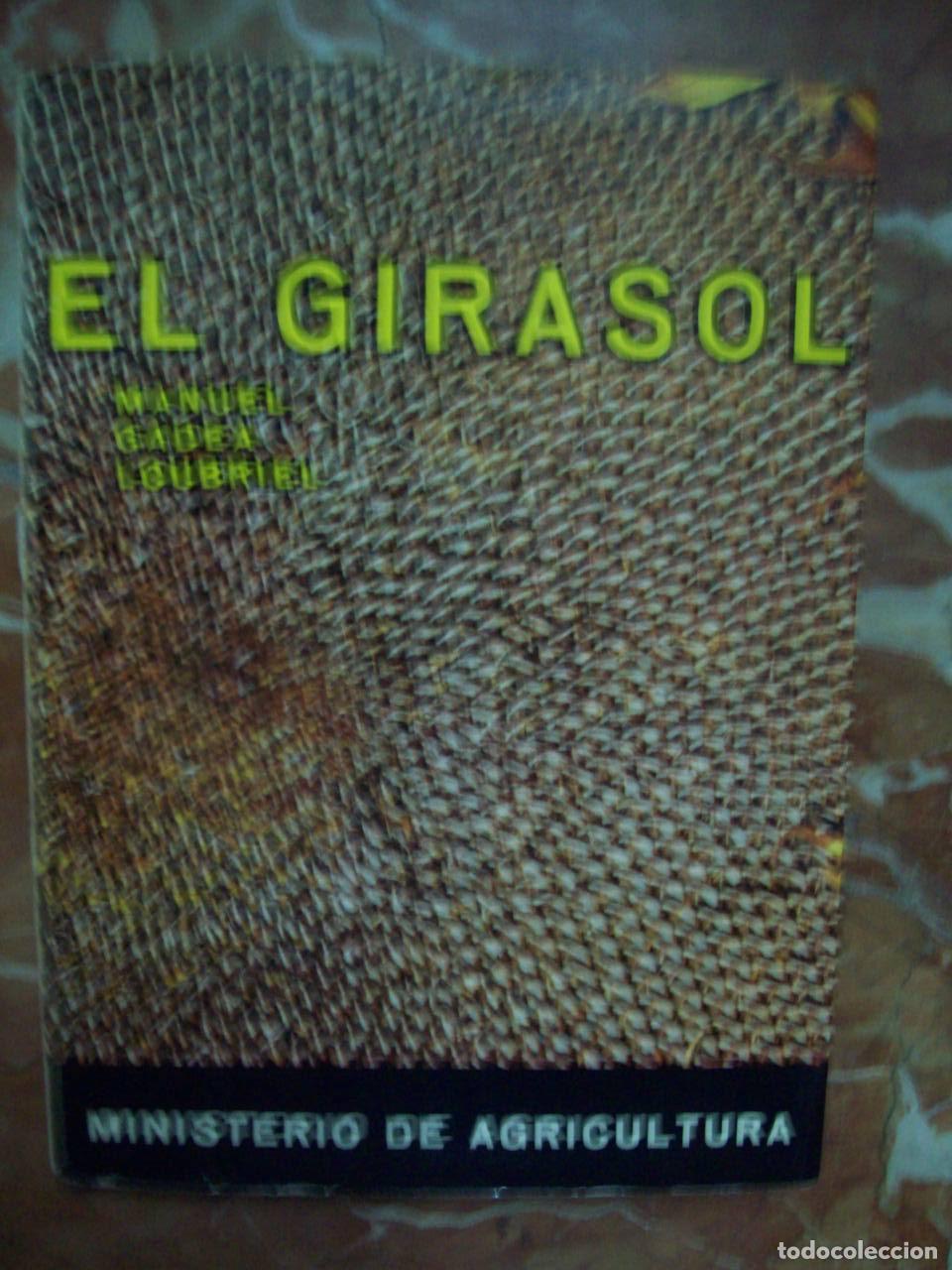 Libri di seconda mano: Gadea Loubriel, Manuel - EL GIRASOL. PLANTA INDUSTRIAL Y FORRAJERA