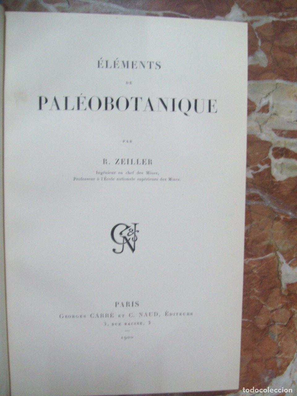 Libri di seconda mano: Zeiller, R. - &Eacute;L&Eacute;MENTS DE PAL&Eacute;OBOTANIQUE