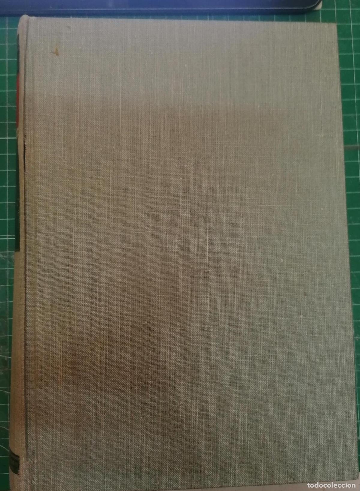 Libros: Botella Llusi&aacute;, Jos&eacute; - PATOLOG&Iacute;A OBST&Eacute;TRICA - Foto 4