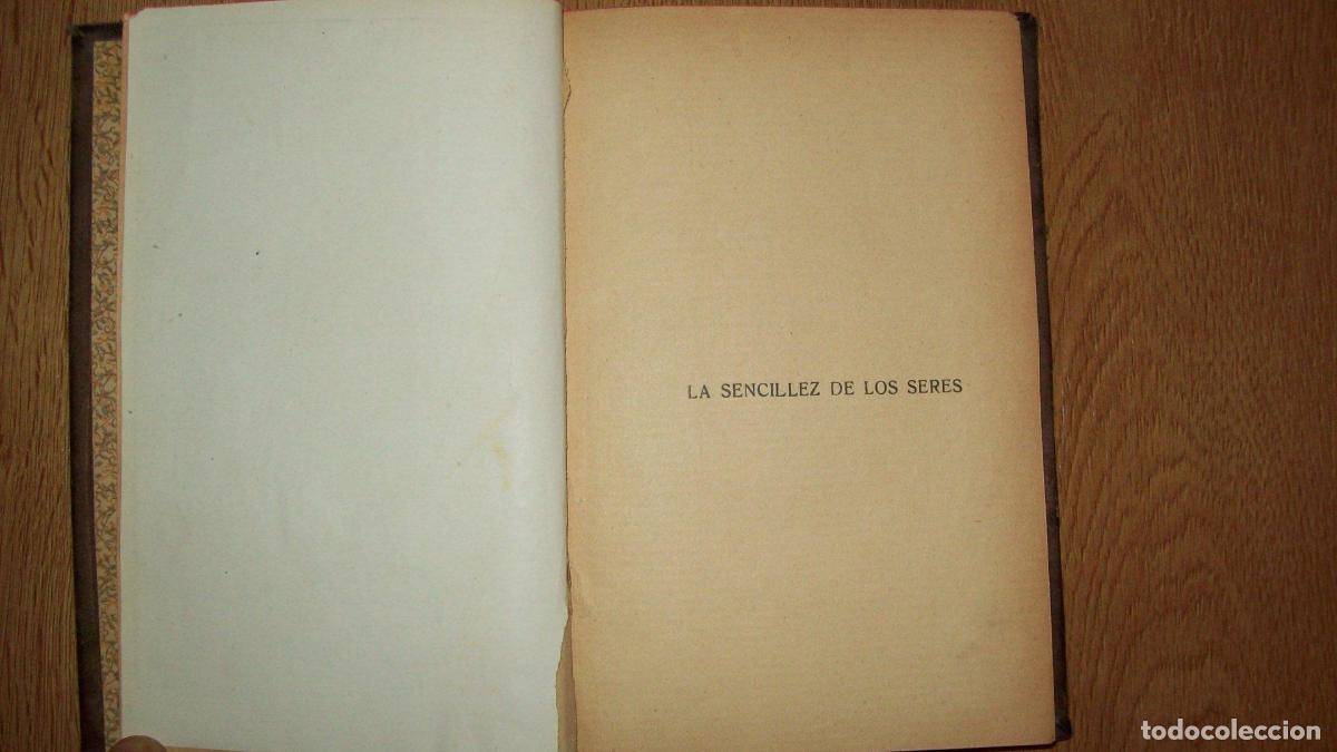 Libros: Basterra, Ram&oacute;n de - LA SENCILLEZ DE LOS SERES - Foto 5