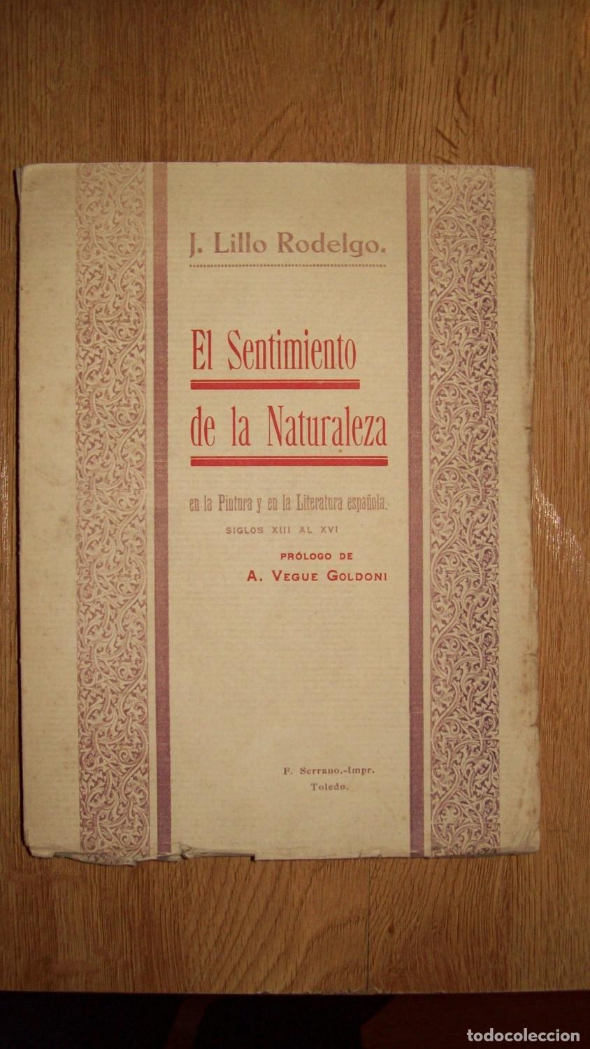 Libri di seconda mano: Lillo Rodelgo, J. - EL SENTIMIENTO DE LA NATURALEZA EN LA PINTURA Y EN LA LITERATURA ESPA&Ntilde;OLA SIGLOS