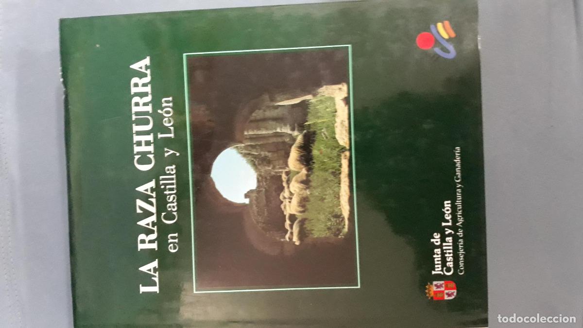 B&uuml;cher: VV.AA. - LA RAZA CHURRA EN CASTILLA Y LE&Oacute;N