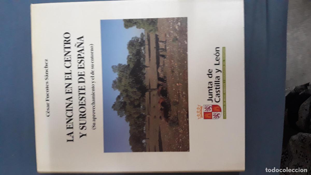 Libri di seconda mano: C&eacute;sar fuentes S&aacute;nchez - LA ENCINA EN EL CENTRO Y SUROESTE DE ESPA&Ntilde;A (SU APROVECHAMIENTO Y EL DE SU C