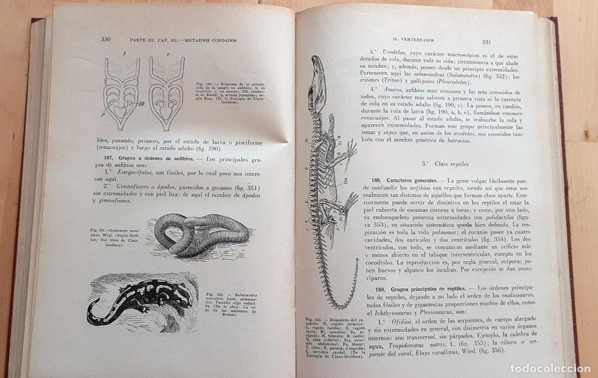 Libros: Jaime Pujiula - BIOLOG&Iacute;A DEL BACHILLER - Foto 2