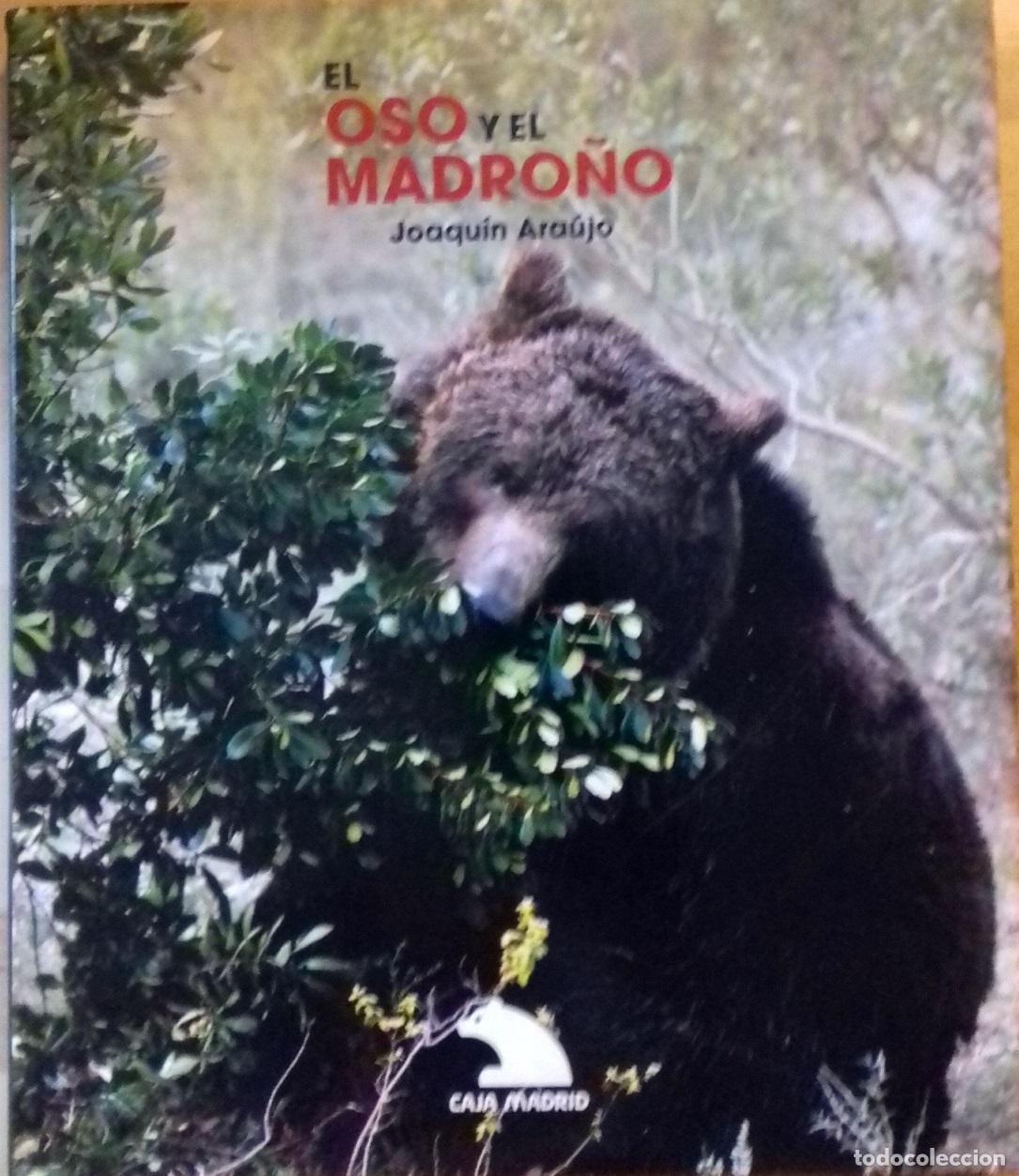 Libros: Joaqu&iacute;n Araujo - EL OSO Y EL MADRO&Ntilde;O - Foto 1