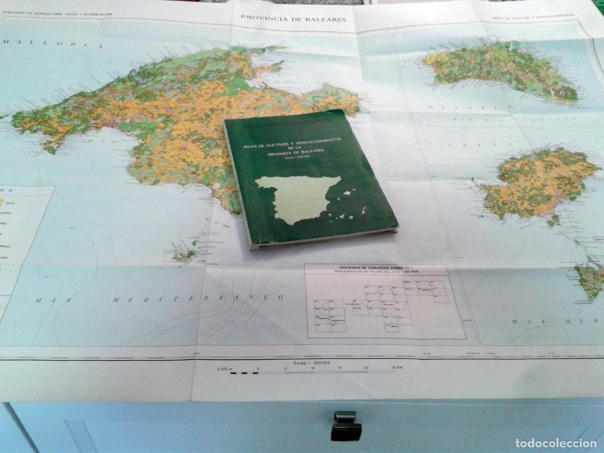 Libros: MAPA DE CULTIVOS Y APROVECHAMIENTOS DE LA PROVINCIA DE BALEARES + MAPA. Memoria - Foto 3