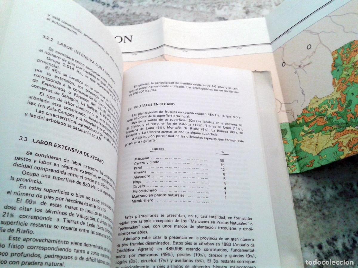 Libros: MAPA DE CULTIVOS Y APROVECHAMIENTOS DE LA PROVINCIA DE LEON + MAPA. Memoria - Foto 2