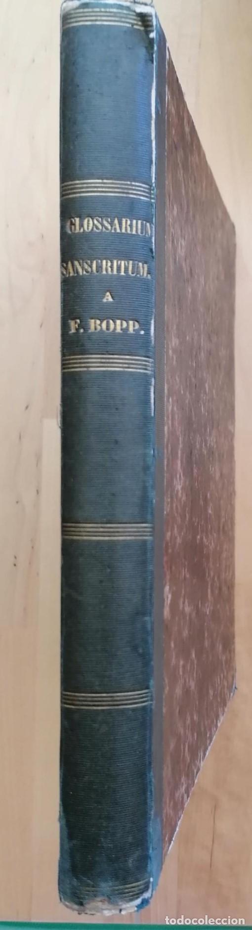 Livres: Francisco Bopp - GLOSSARIUM SANSCRITUM IN QUO OMNES RADICES ET VOCABULA USITATISSIMA EXPLICANTUR ET