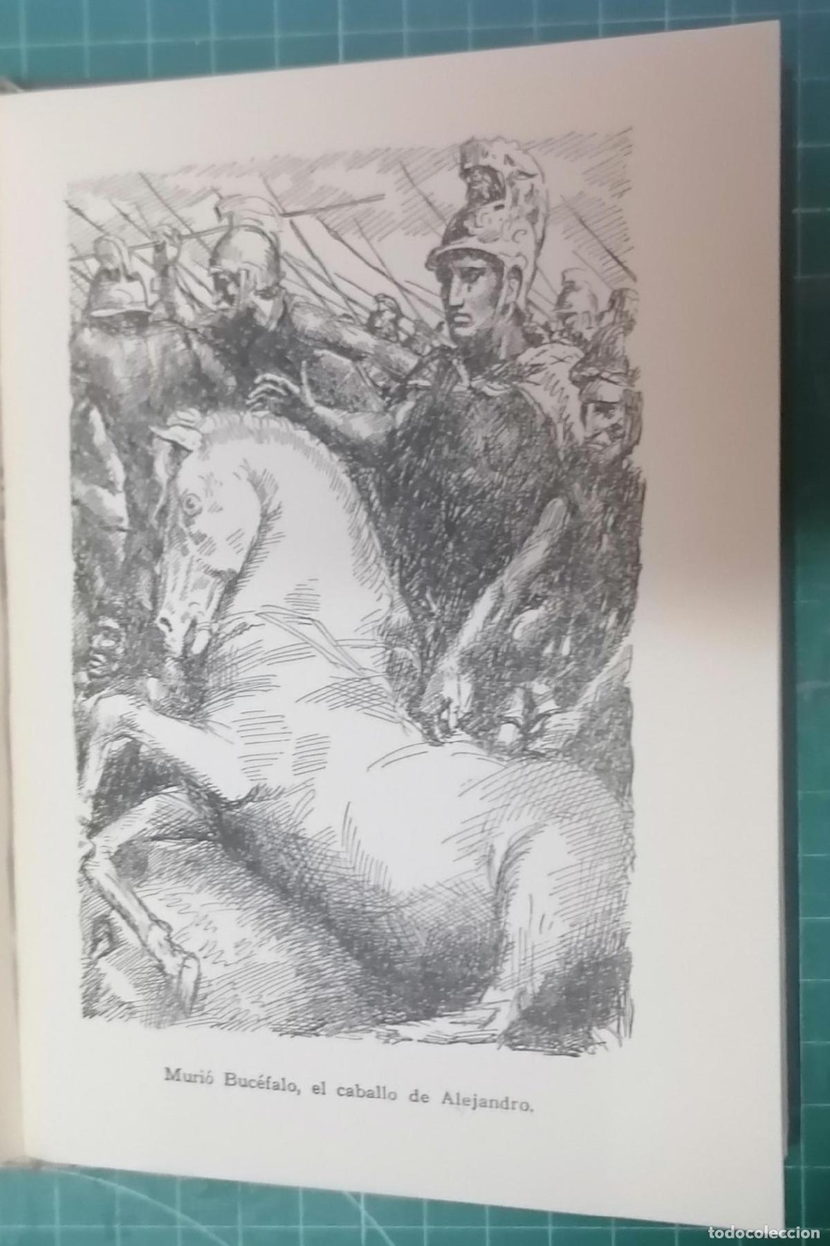 Libros: PLUTARCO - GRANDES FIGURAS DE GRECIA - Foto 5