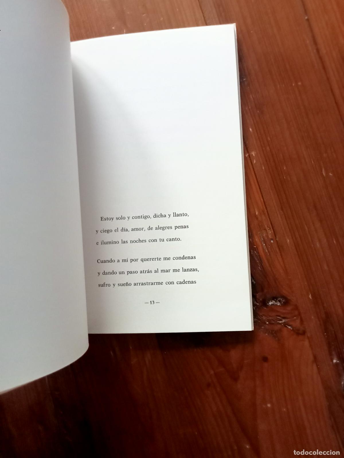 Libros: Fernando de Celis - CONCIERTO - Foto 2