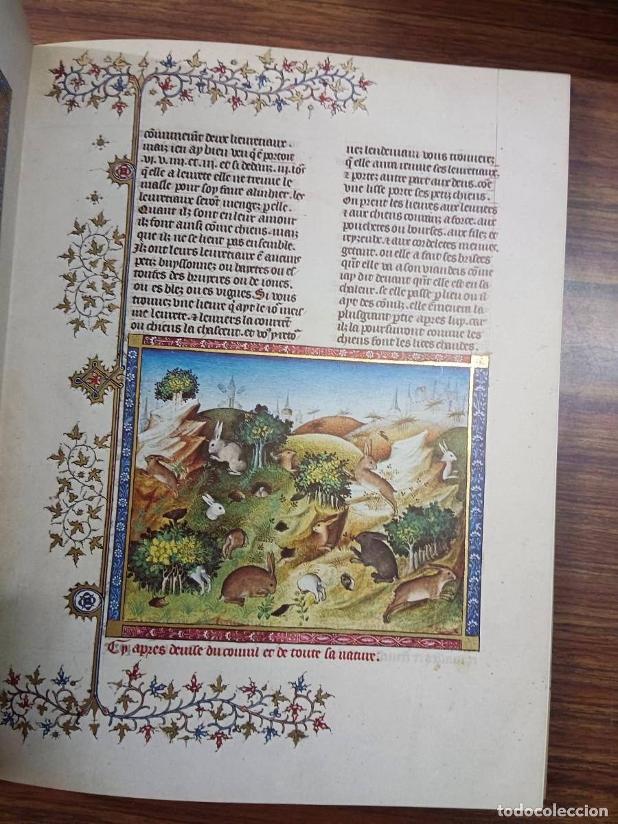 Libros: EL LIBRO DE LA CAZA - Gaston Phoebus - Foto 3