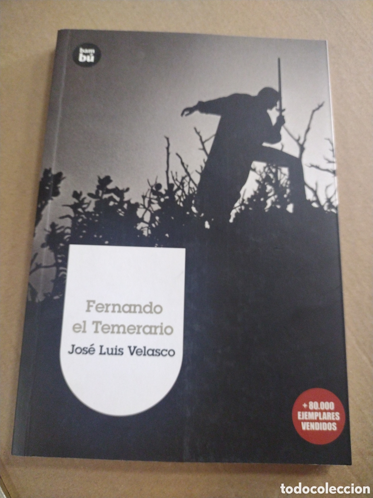 Libros: FERNANDO EL TEMERARIO. Jos&eacute; Luis Velasco. CL - Foto 1
