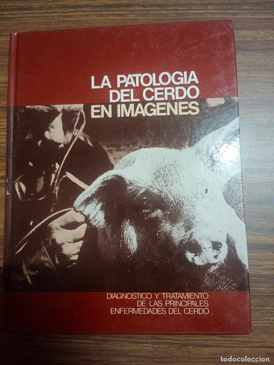 Libros: LA PATOLOGIA DEL CERDO - VV.AA. - Foto 1