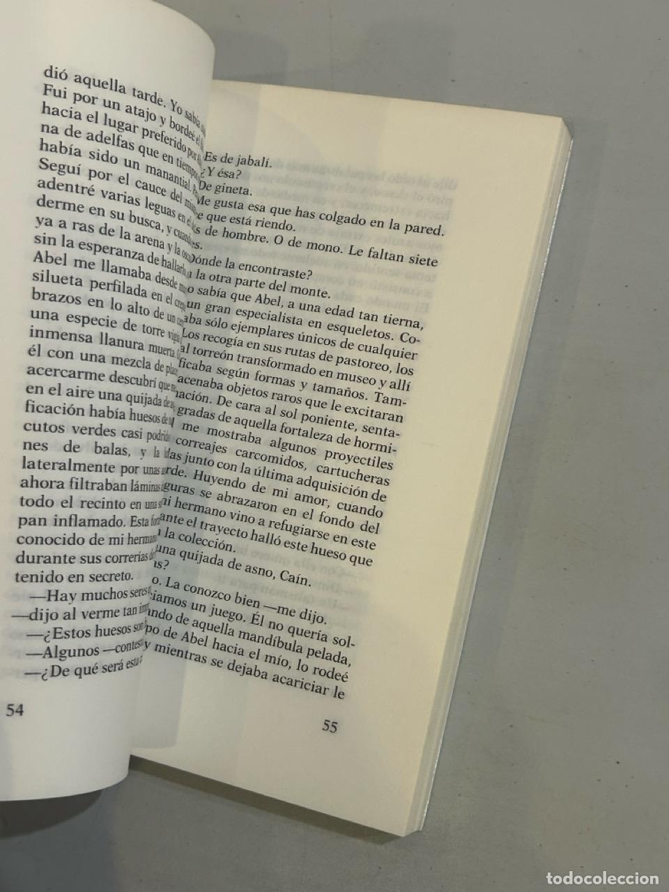 Libros: Manuel Vicent - Balada de Ca&iacute;n - Foto 2