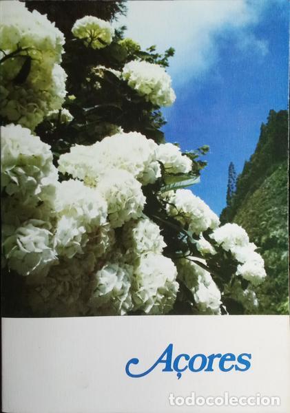 Libros: A&Ccedil;ORES. - Foto 1