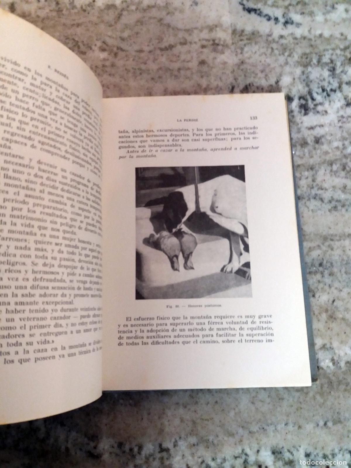 Libros: Evaristo Rein&eacute;s Aral - LA PERDIZ Y OTRAS CAZAS DE PLUMA - Foto 2