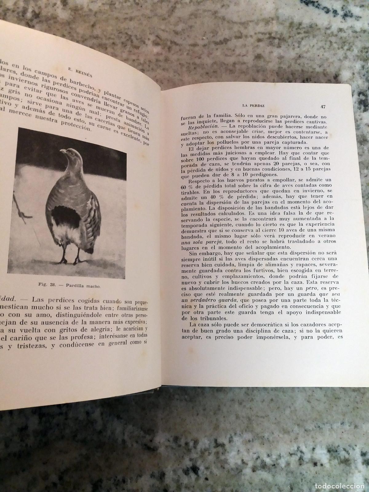 Libros: Evaristo Rein&eacute;s Aral - LA PERDIZ Y OTRAS CAZAS DE PLUMA - Foto 3