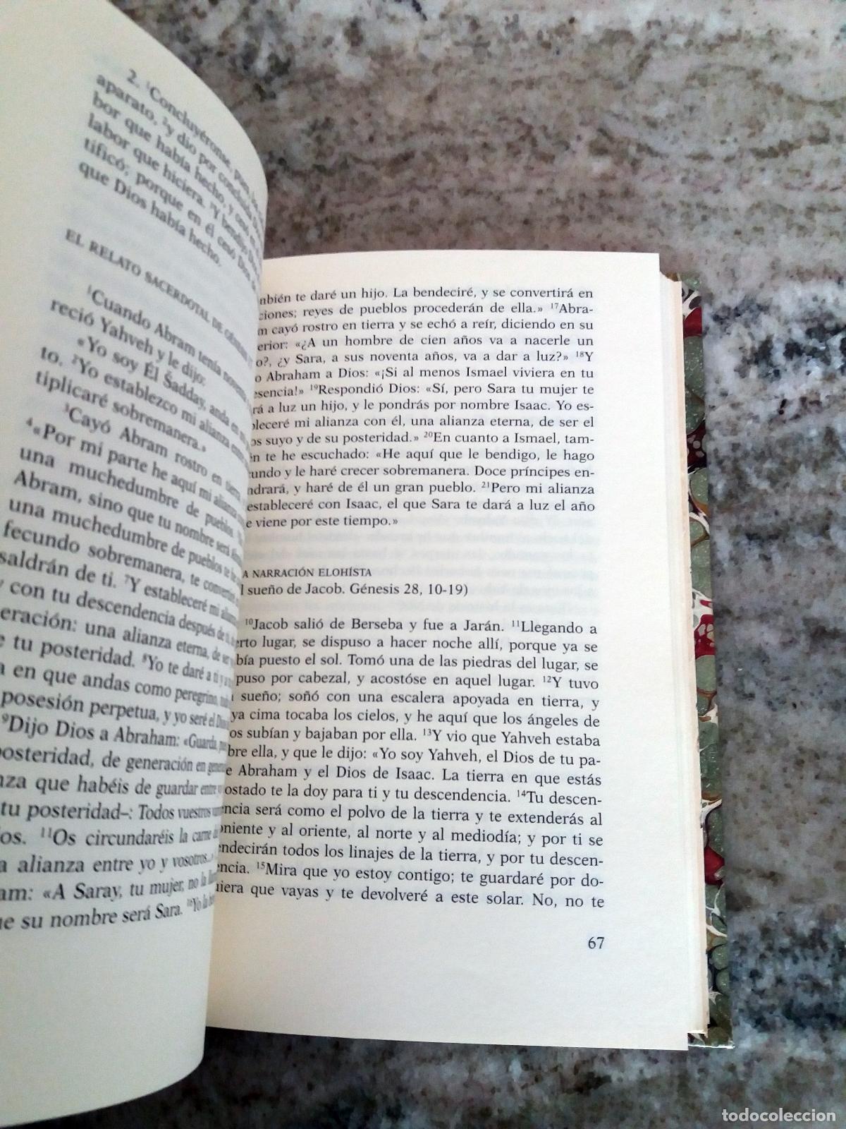 Libros: G&aacute;ndara, Alejandro - Las primeras palabras de la creaci&oacute;n - Foto 4