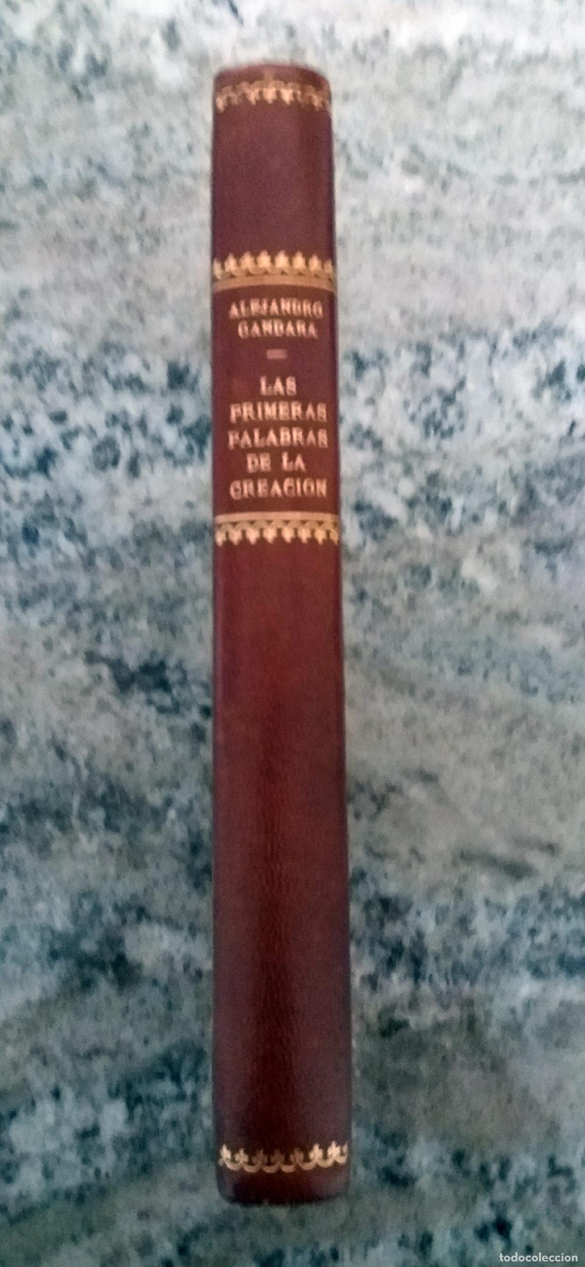Libros: G&aacute;ndara, Alejandro - Las primeras palabras de la creaci&oacute;n - Foto 1