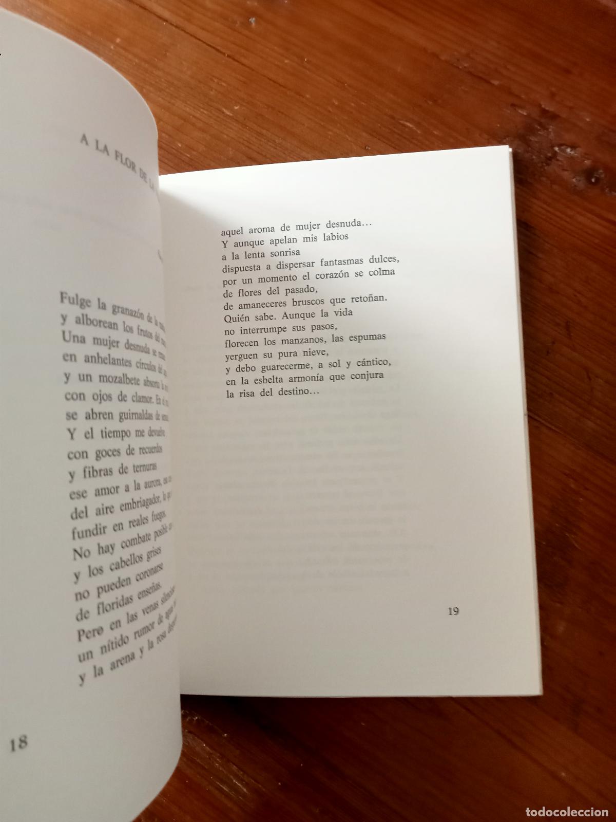 Libros: Rodr&iacute;guez Alcalde, Leopoldo - MELODIA DEL MARMOL - Foto 2