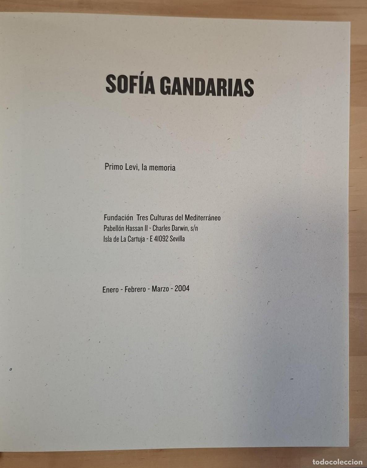 Libros: Sof&iacute;a Gandarias - SOF&Iacute;A GANDARIAS. PRIMO LEVI, LA MEMORIA - Foto 5