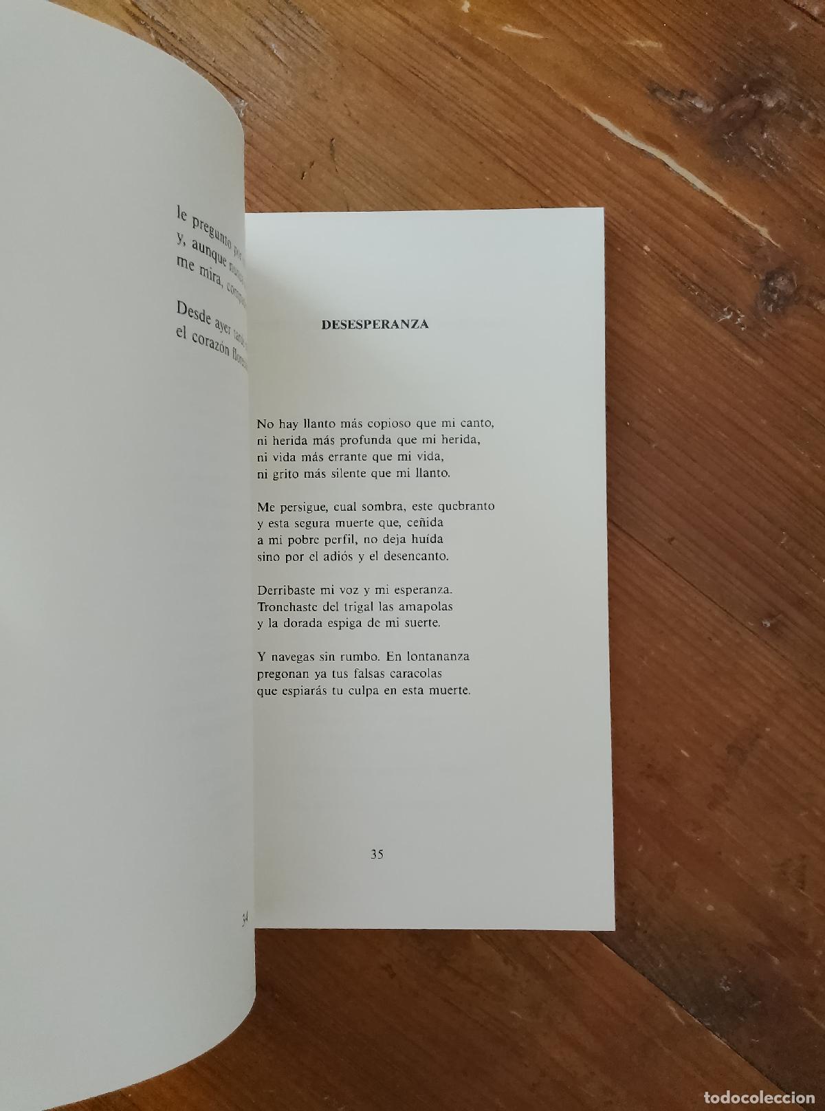 Libros: Domingo Vel&aacute;zquez - POEMAS DEL SUE&Ntilde;O ERRANTE - Foto 3