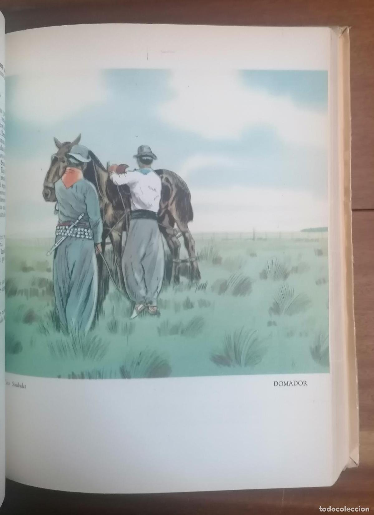Libros: Tito Saubidet - VOCABULARIO Y REFRANERO CRIOLLO - Foto 3