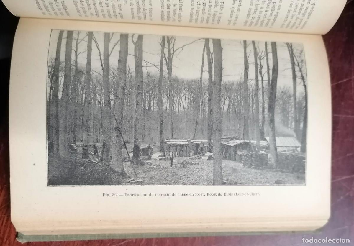 Libros: Albert Fron - SYLVICULTURE - Foto 2