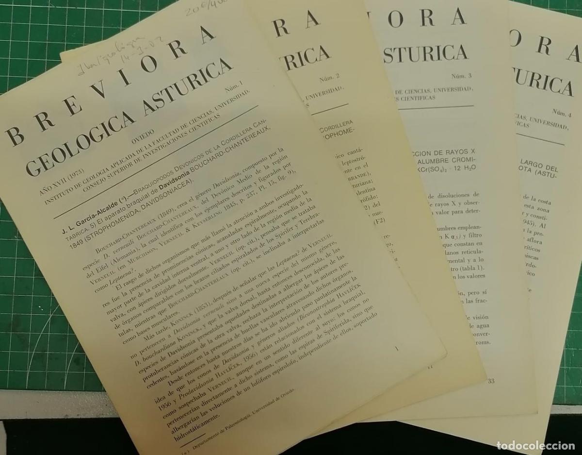 books: VV.AA. - BREVIORA GEOL&Oacute;GICA AST&Uacute;RICA. Braquiopodos Devonicos de la Cordillera Cant&aacute;brica. A&Ntilde;O XVII.