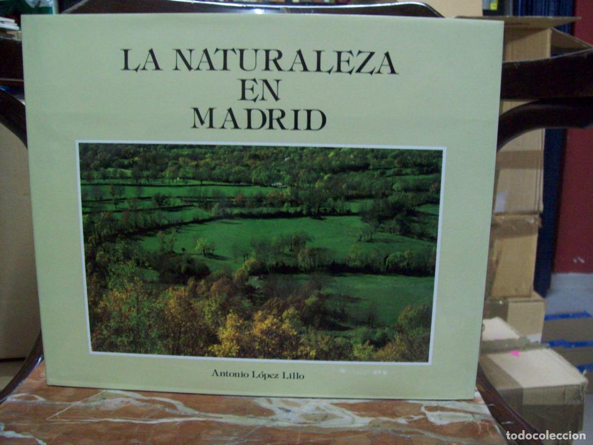 Libros: L&oacute;pez Lillo, Antonio - LA NATURALEZA EN MADRID