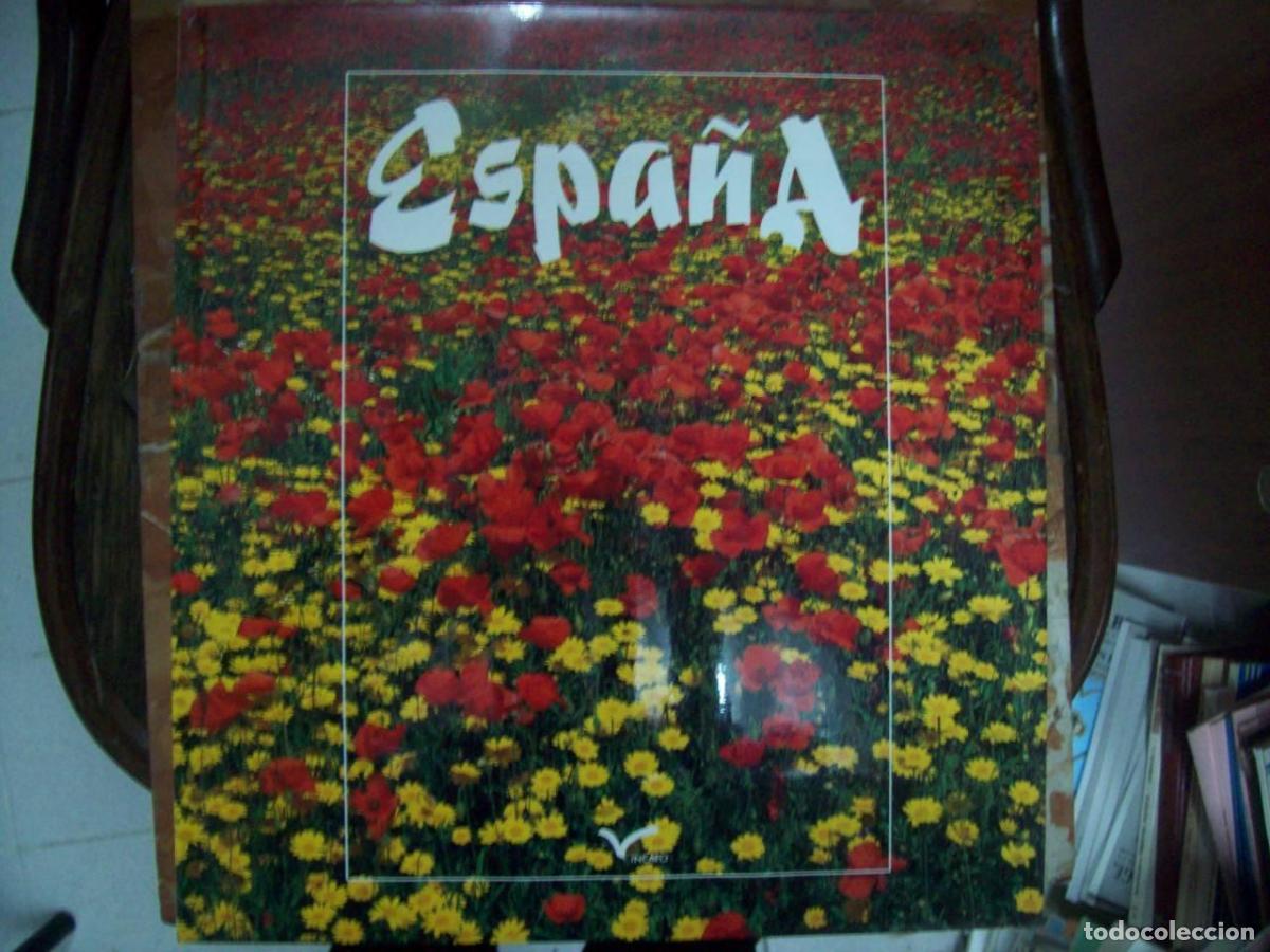 Libros: Fern&aacute;ndez, Juan Antonio e Incafo - ESPA&Ntilde;A - Foto 1