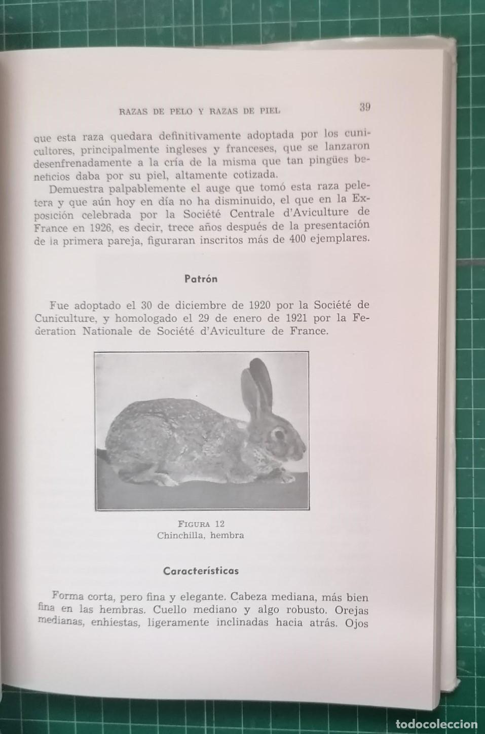 Libros: Cross, J.W. - CRIA Y EXPLOTACI&Oacute;N DE LOS CONEJOS - Foto 2