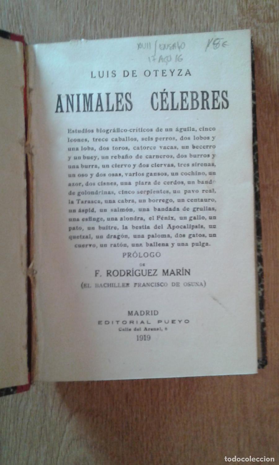 Libros: Oteyza, Luis de - ANIMALES C&Eacute;LEBRES - Foto 1