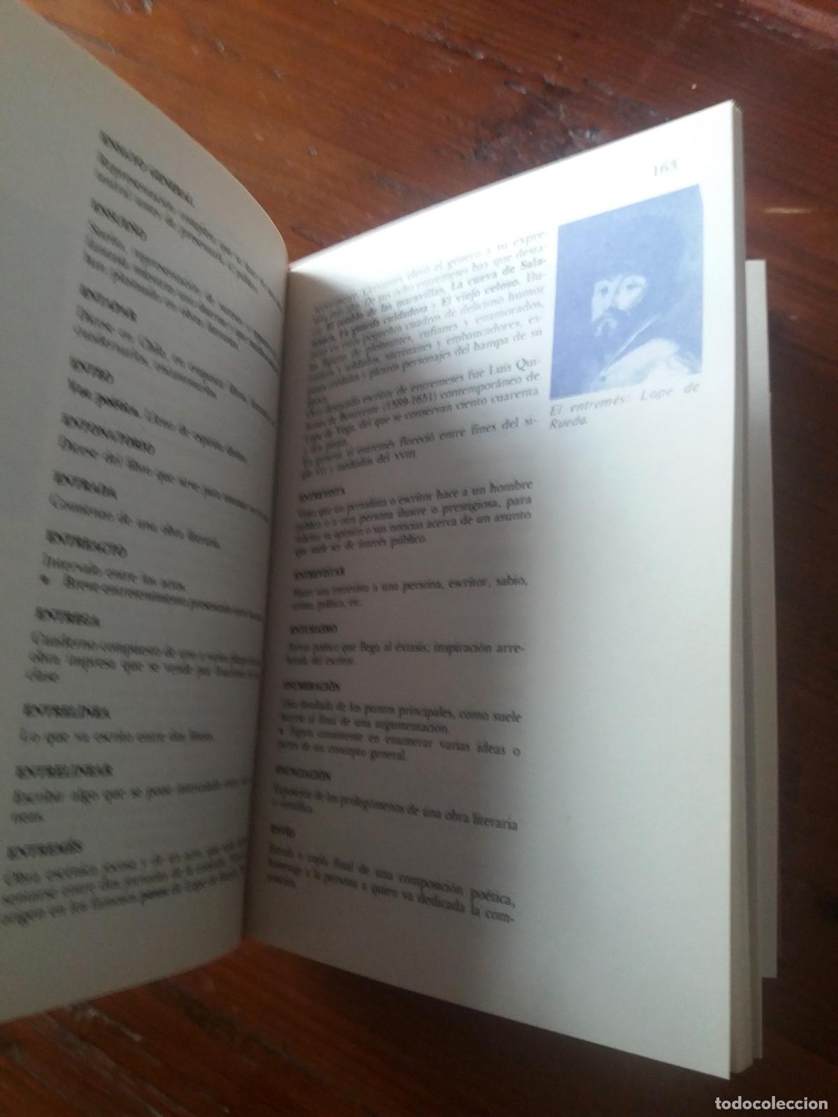 Libros: DICCIONARIO TEMATICO. TERMINOS LITERARIOS - Foto 3