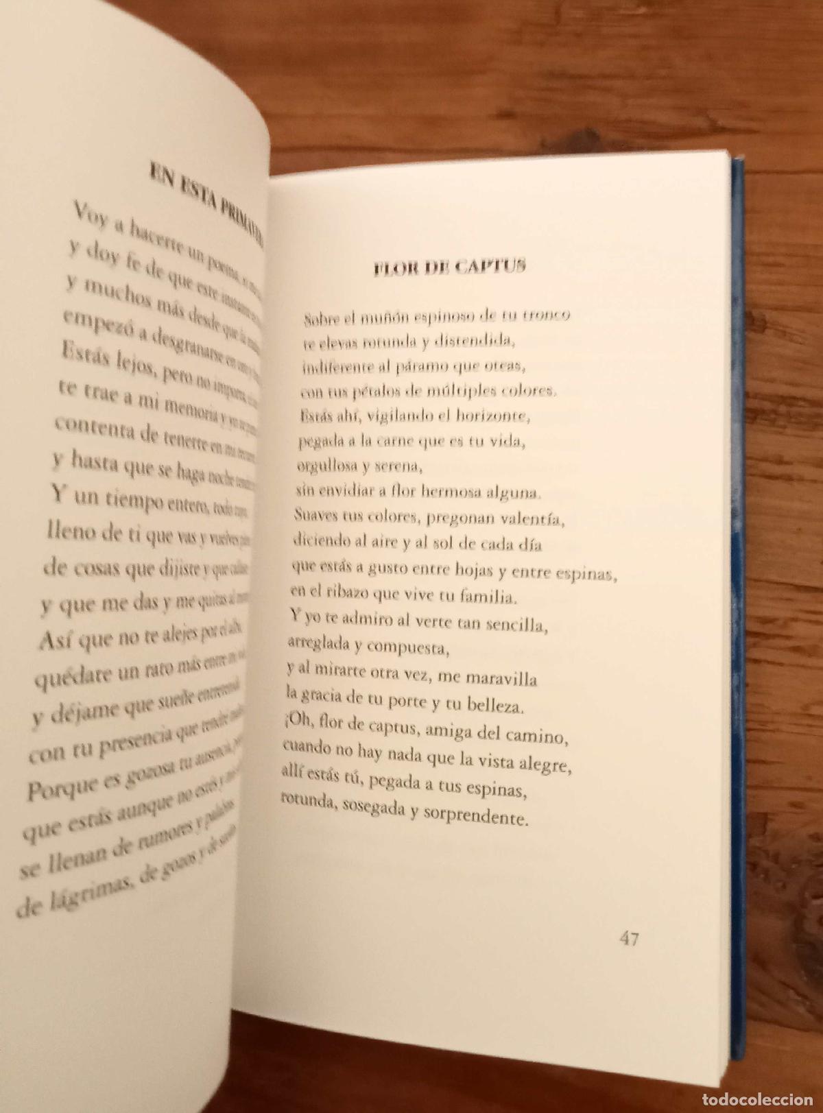 Libros: Ofelia Sequeros - ALGUNAS PALABRAS - Foto 2