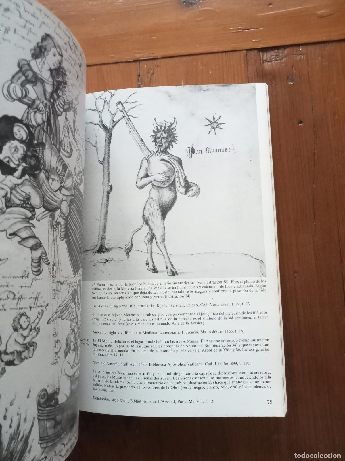 Libros: Stanislas Klossowski de Rola - ALQUIMIA - Foto 3