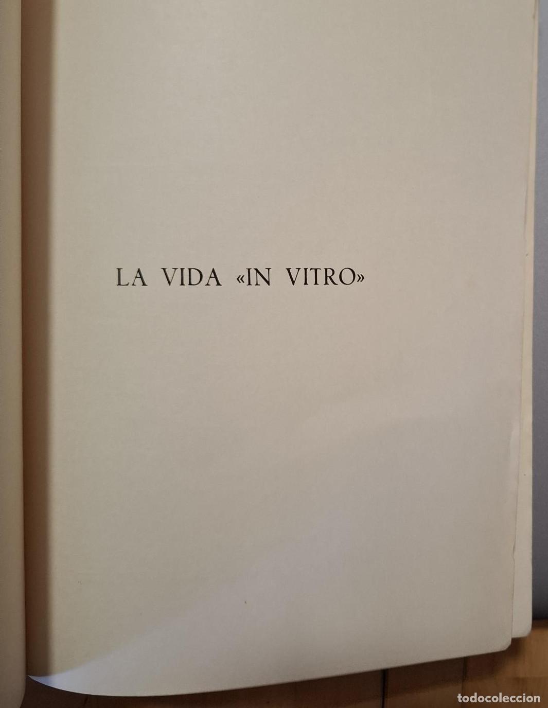 Libros: Angel Santos Ruiz - LA VIDA IN VITRO - Foto 2
