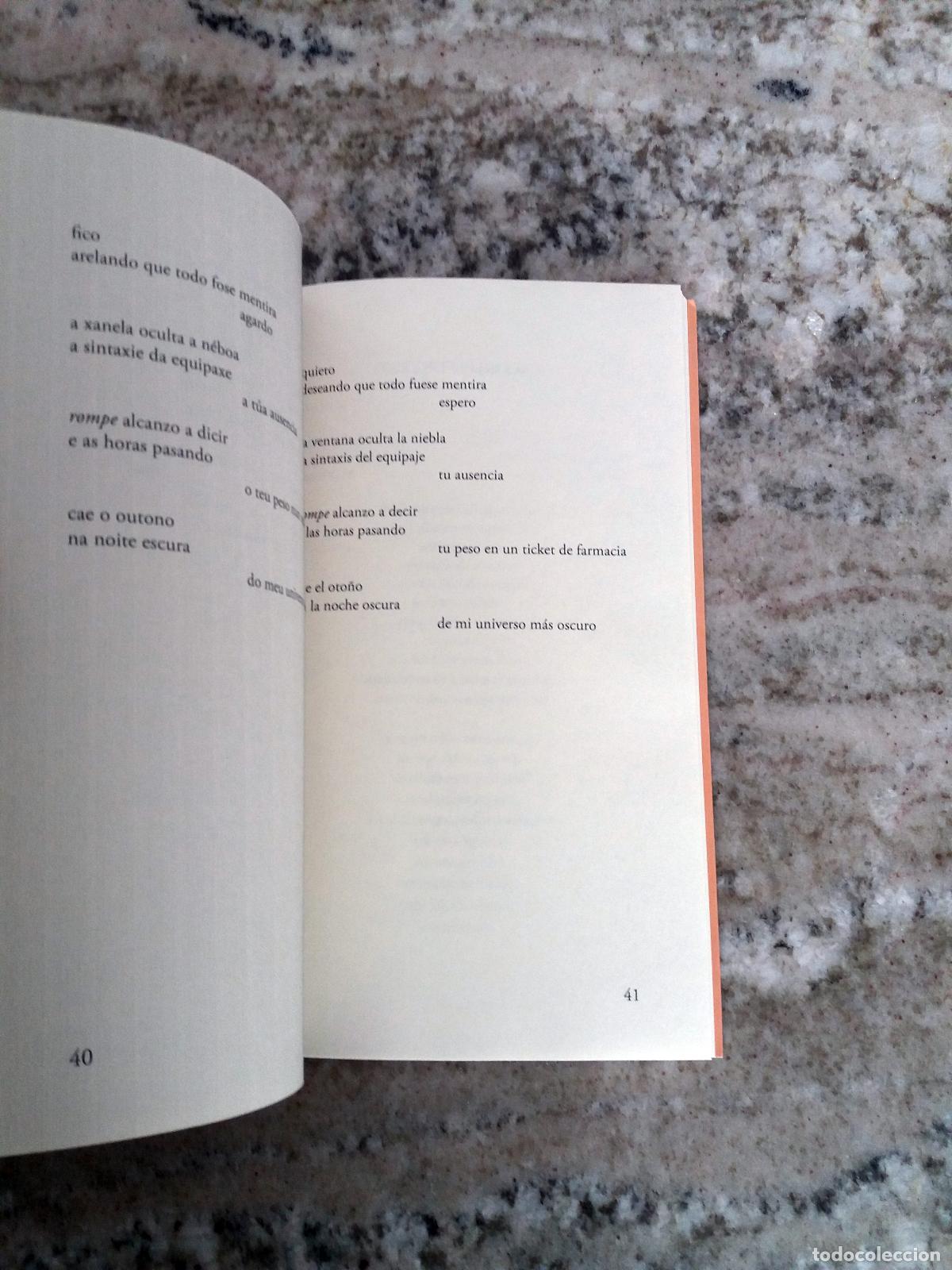 Libros: Y&aacute;&ntilde;ez Jato, Rafa - FAREWELL. Edici&oacute;n biling&uuml;e - Foto 2