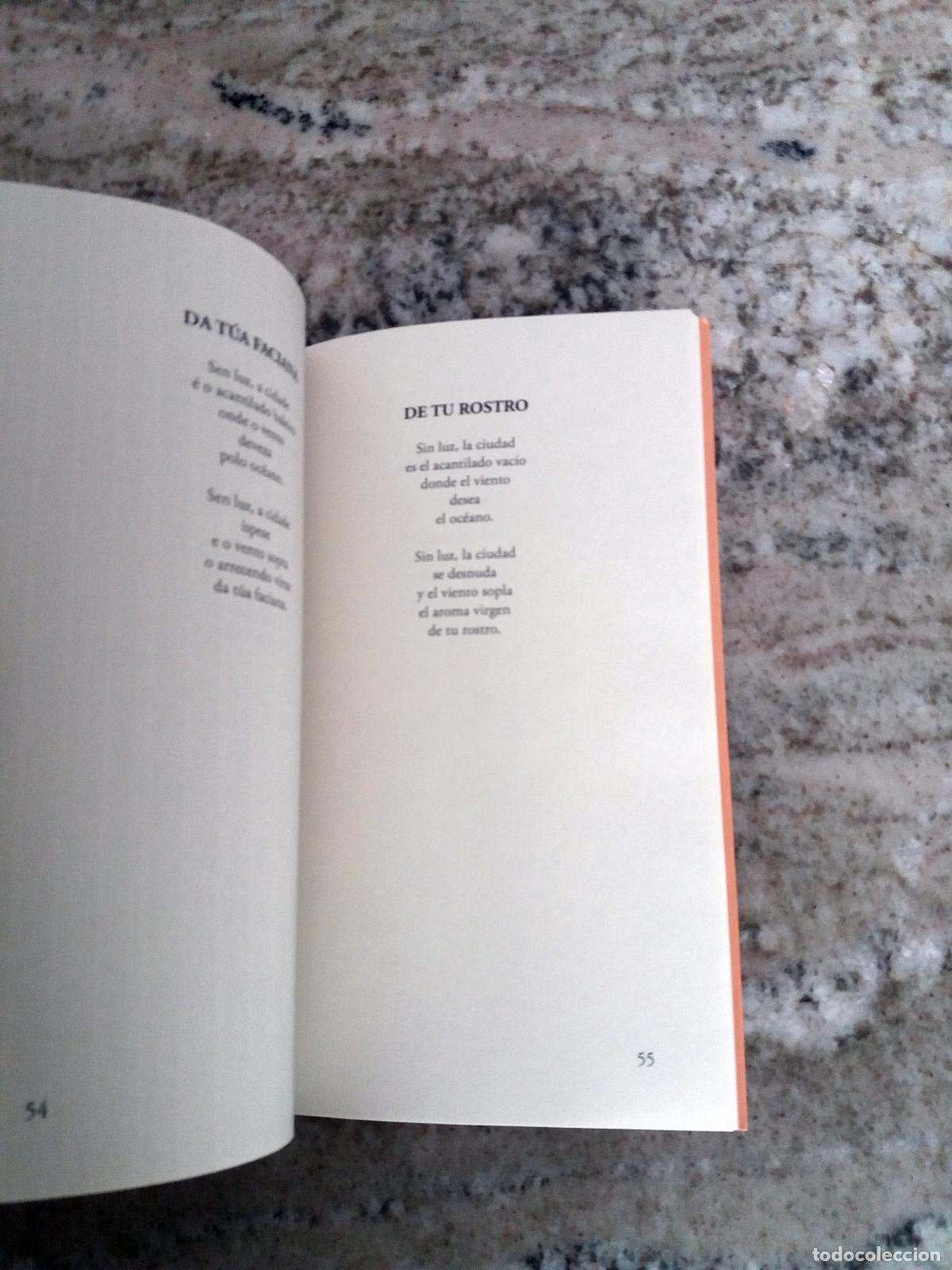 Libros: Y&aacute;&ntilde;ez Jato, Rafa - FAREWELL. Edici&oacute;n biling&uuml;e - Foto 3