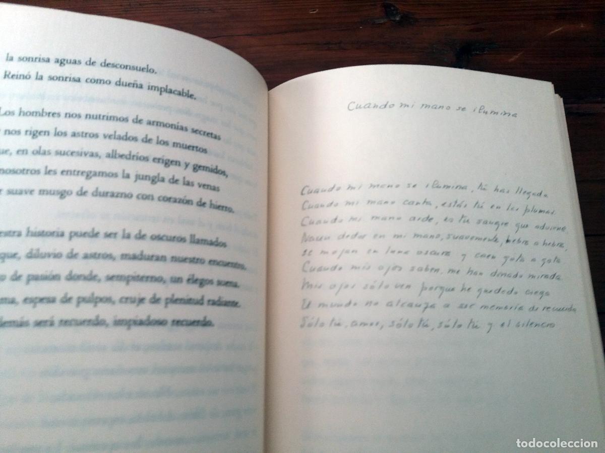 Libros: Roque Esteban Scarpa - EL ARBOL DESHOJADO DE SONRISAS - Foto 3