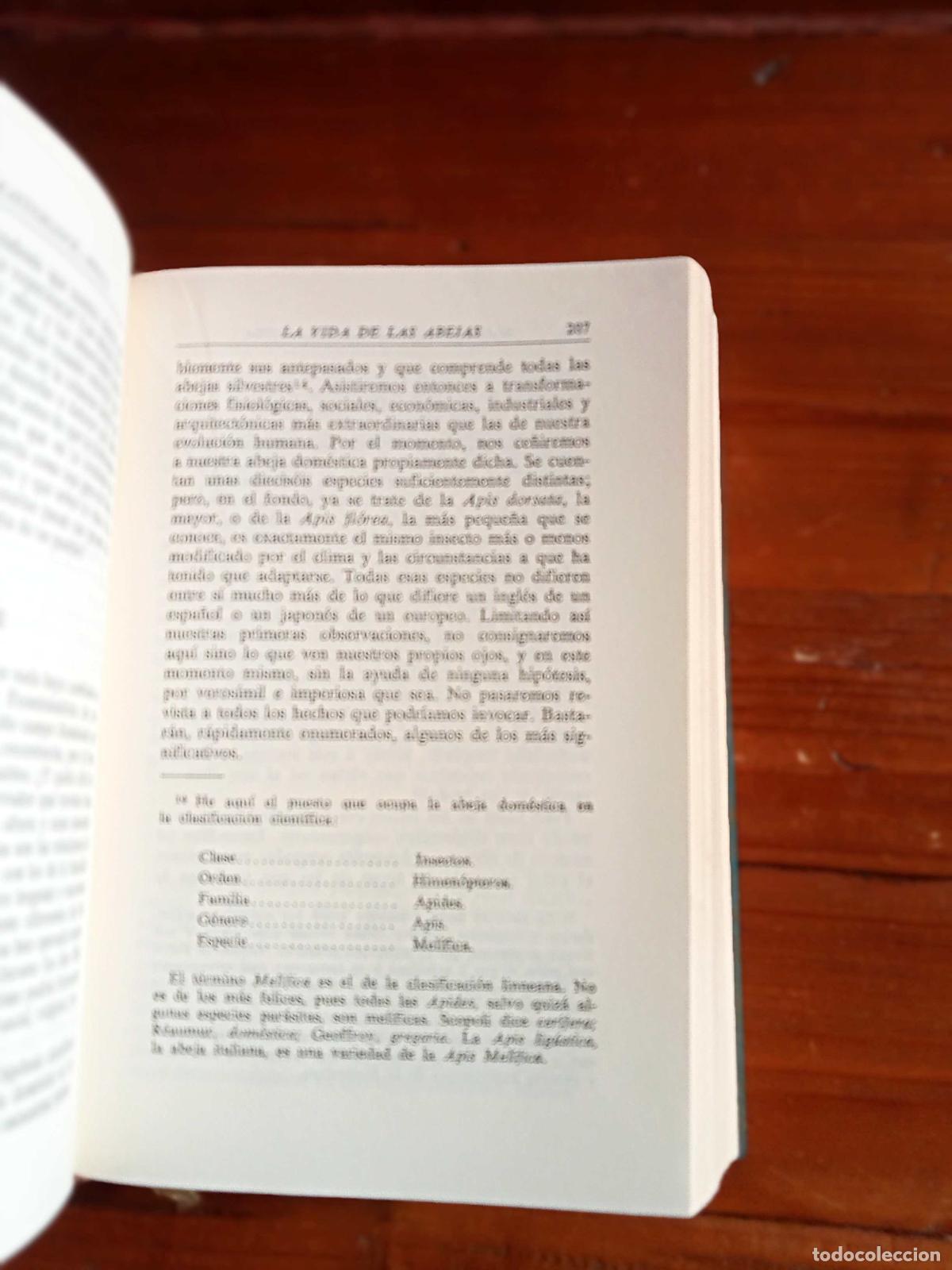 Libros: Maurice Maeterlinck - PROSA - Foto 2
