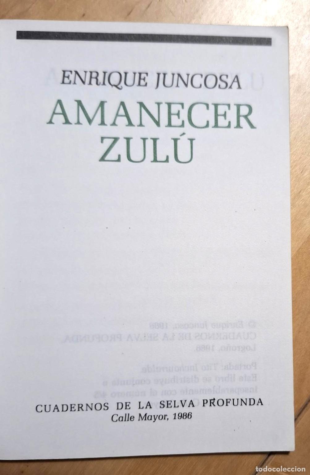 Libros: Enrique Juncosa - AMANECER ZUL&Uacute; - Foto 2