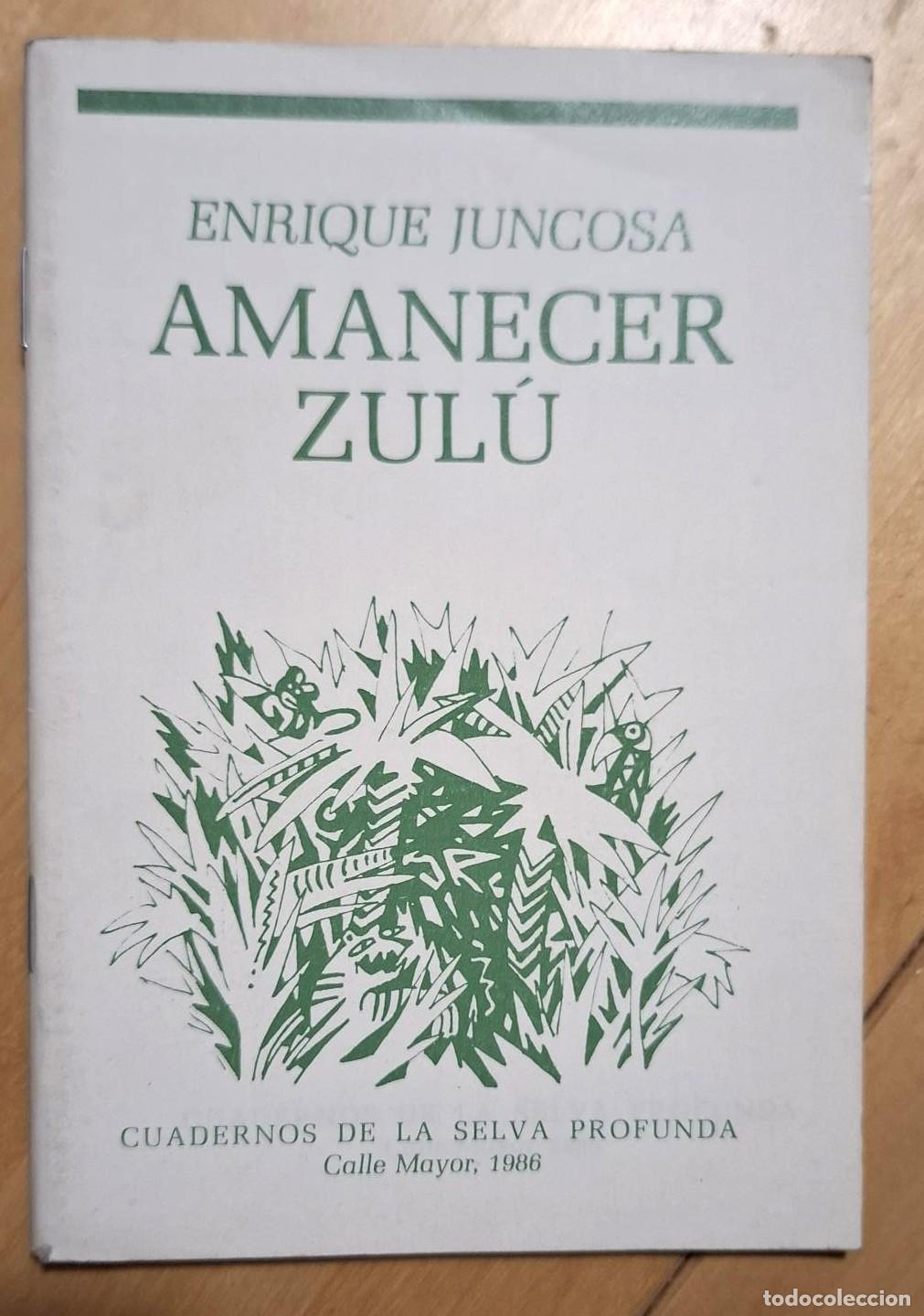 Libros: Enrique Juncosa - AMANECER ZUL&Uacute; - Foto 1