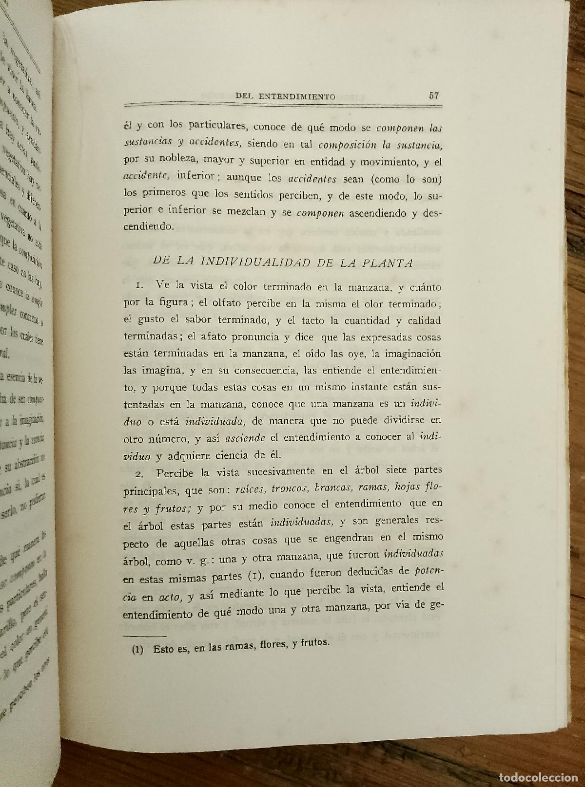 Libros: Raimundo Lulio - EL LIBRO DEL ASCENSO Y DESCENSO DEL ENTENDIMIENTO. - Foto 4
