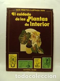Libros: EL CUIDADO DE LAS PLANTAS DE INTERIOR - David Longman - Foto 1