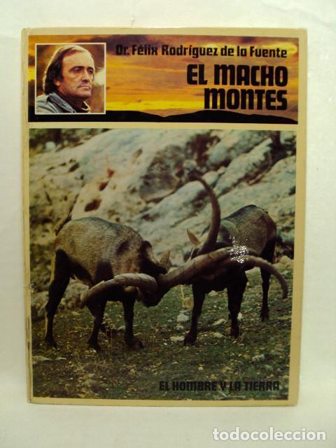 Libros: EL MACHO MONTES. El hombre y la tierra - Dr. F&eacute;lix Rodr&iacute;guez De La Fuente
